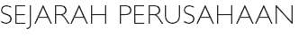 Sejarah Perusahaan